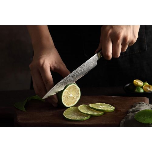  [아마존베스트]F FANTECK [6-Inch]Utility Paring Knife FANTECK Chef Knife Damascus Stainless Steel VG10 Pro Razor Sharp Blade High Carbon 67-Layer Kitchen Cutlery Cutting Fruit Utility Knife Gift Box-Ergono