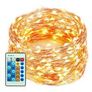 FAMILy LED String Lights 99ft 300 LEDs Dimmable with Remote Control, Waterproof Starry Lights for DIY Bedroom, Patio, Garden, Gate, Yard, Party, Wedding (Copper Wire Lights, Warm W