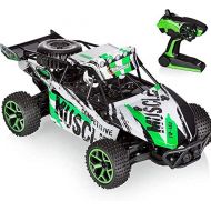 FCXBQ 2.4Ghz fessional Anti-interference Remote Control Car 4WD Strong Horsepower High Speed RC Racing Vehicle 4x4 Big Foot Off Road Rc Truck with Rechargeable Battery (Size : 2 battery)