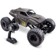 FCXBQ 4WD Large Remote Control Car Lifting Deformation fessional Off Road RC Truck Rechargeable 2.4G Radio Control Racing Vehicle High Speed All Terrain RC Rally Car ( Color : Gray , Siz
