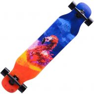 FGKING Skateboards,40 inch Pro Complete Skateboard, 9 Ply Maple Wood Double Kick Concave Skateboards,Skateboard Deck for Extreme Sports and Outdoors,6