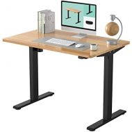 FLEXISPOT EC1 Electric Height Adjustable Standing Desk Heavy Duty Steel Stand Up Desk Frame w/Automatic Smart Keypad (EC1 Classic Black Frame + 48 in Maple Top)