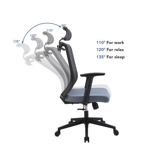  FLEXISPOT FlexiSpot OC2U Ergonomics Executive Office Chair Swivel Height Adjustable Seat Headrest Armrest on Caster Wheels, Airy Blue