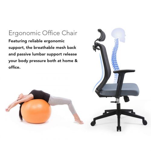  FLEXISPOT FlexiSpot OC2U Ergonomics Executive Office Chair Swivel Height Adjustable Seat Headrest Armrest on Caster Wheels, Airy Blue