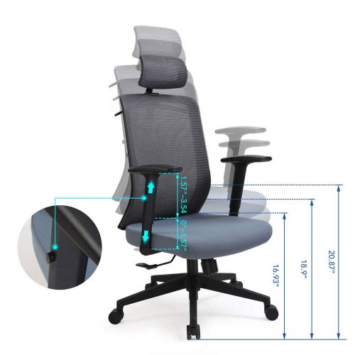  FLEXISPOT FlexiSpot OC2U Ergonomics Executive Office Chair Swivel Height Adjustable Seat Headrest Armrest on Caster Wheels, Airy Blue