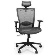 FLEXISPOT FlexiSpot OC3B Ergonomics Executive Office Chair Swivel Height Adjustable Seat Headrest Armrest on Caster Wheels, Black Mesh Seat