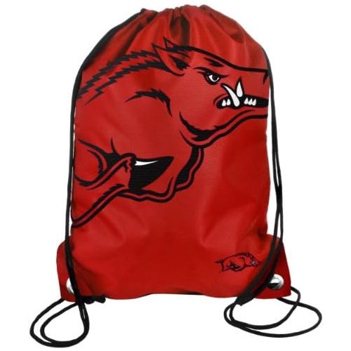  Forever Collectibles NCAA 2013 Collegiate Team Logo Drawstring Backpack - Pick Team!