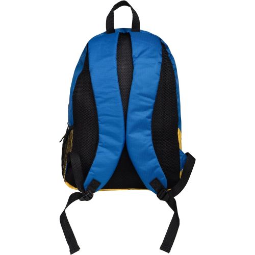  FOCO Golden State Warriors Curry S. #30 Border Stripe Backpack