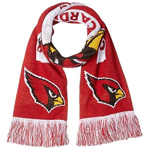  FOCO NFL Unisex 2016 Big Logo Scarf