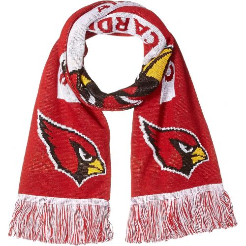  FOCO NFL Unisex 2016 Big Logo Scarf