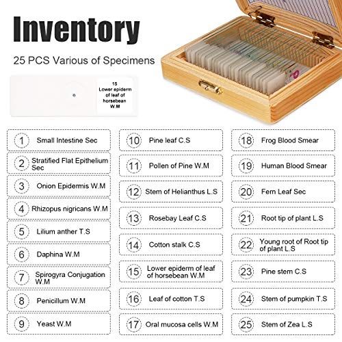  [아마존베스트]FORMIZON 25 pieces microscope slides, learning experiment set, durable preparations, slides with wooden box, slides set for basic biological sample, insects, animals, plants, sampl