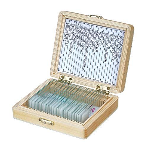  [아마존베스트]FORMIZON 25 pieces microscope slides, learning experiment set, durable preparations, slides with wooden box, slides set for basic biological sample, insects, animals, plants, sampl