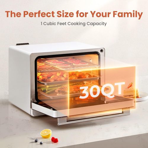  FOTILE Chefcubii 4-in-1 Countertop Convection Steam Combi Oven Air Fryer Food Dehydrator with Precise Temperature Control, 40+ Preset Menu and Steam Self-clean, 1 CFT