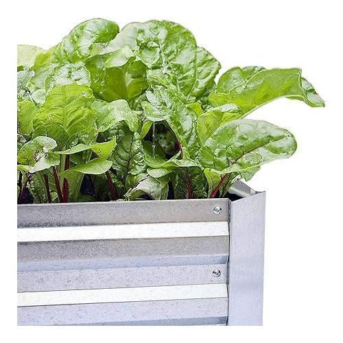  FOYUEE Galvanized Raised Garden Beds for Vegetables Large Metal Planter Box Steel Kit Flower Herb, 8x4x1ft