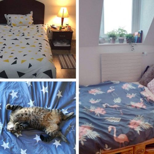  FUIBENG Home 3D Bedding Set Tiger Print Bedspreads for Teens Boys and Girls 2 Pillow Shams 1 Duvet Cover Ultra Soft (King, Black)