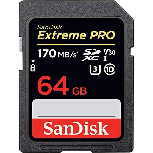 후지필름 FUJIFILM X-S10 Mirrorless Digital Camera Bundle, Includes: SanDisk 64GB Extreme PRO SDXC Memory Card, Card Reader, Memory Card Wallet and Lens Cleaning Kit (5 Items) (Body)