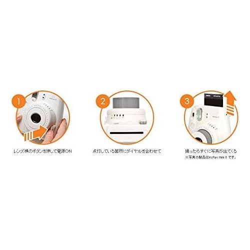 후지필름 FUJIFILM INS MINI 8 GUDETAMA--(Japan Import-No Warranty)