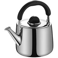 [아마존베스트]FYBlossom Kettle whistling kettle made of stainless steel, tea kettle induction for induction cookers gas stoves, kettle with handle for stove, portable camping teapot kettle for tea, coffee