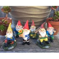 FairyBestWishes Fairy Garden | Gnome Miniature Figurines | Adorable Resin Outdoor Statues | Choose 1 from 6 Different Styles | Cute Little Fairies Friends!