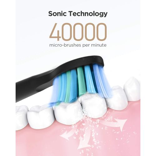  [아마존핫딜][아마존 핫딜] Fairywill Electric Toothbrush Rechargeable Cleaning as Dentist with 5 Modes 8 Brush Heads, Whitening Sonic Toothbrushes for Adults Braces Cleaning, Built-in Smart Timer Travel Case