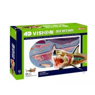 Fame Master 4D Vision Great White Shark Anatomy Model