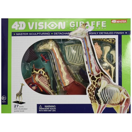  Fame Master Famemaster 4D Vision Giraffe Anatomy Model