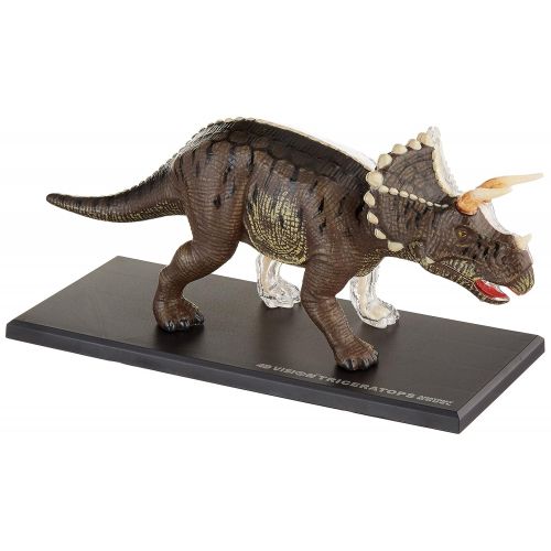  Fame Master Famemaster 4D Vision Triceratops Anatomy Model