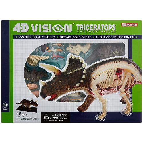  Fame Master Famemaster 4D Vision Triceratops Anatomy Model