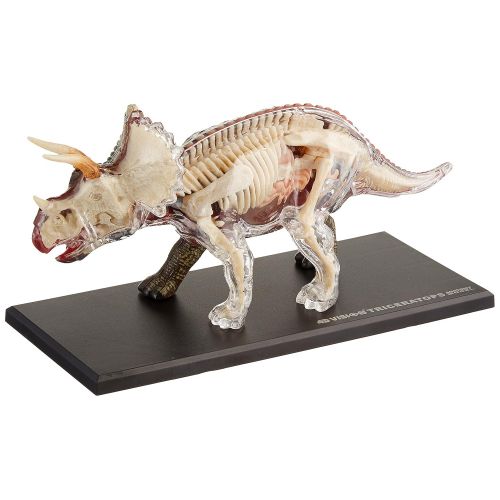  Fame Master Famemaster 4D Vision Triceratops Anatomy Model