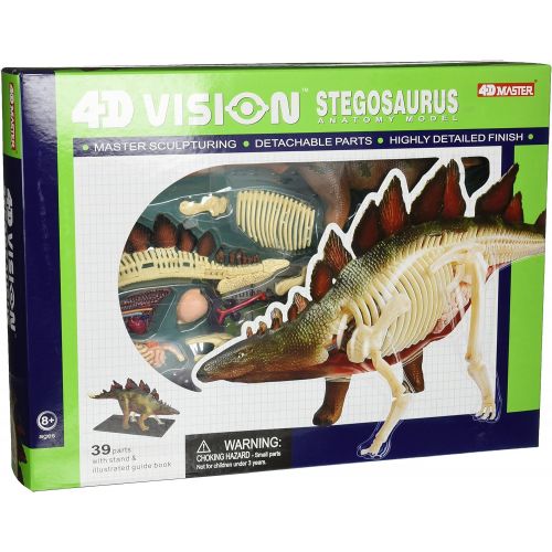  Famemaster 4D Vision Stegosaurus Anatomy Model