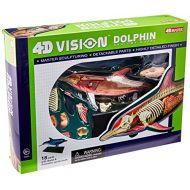 Famemaster 4D-Vision Dolphin Anatomy Model