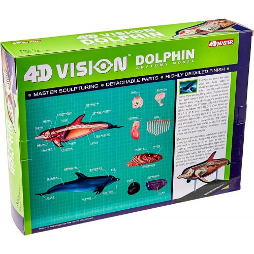  Famemaster 4D-Vision Dolphin Anatomy Model