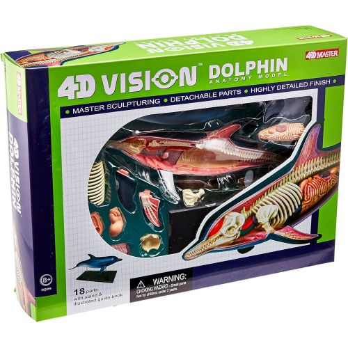  Famemaster 4D-Vision Dolphin Anatomy Model