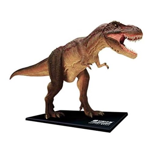  Fame Master 4D Vision Tyrannosaurus Rex Anatomy Model