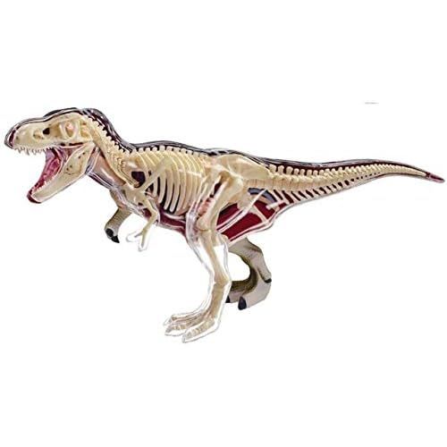  Fame Master 4D Vision Tyrannosaurus Rex Anatomy Model