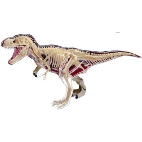  Fame Master 4D Vision Tyrannosaurus Rex Anatomy Model