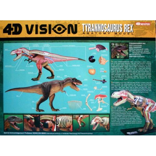  Fame Master 4D Vision Tyrannosaurus Rex Anatomy Model