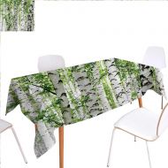 Familytaste familytaste Woodland Patterned Tablecloth Birch Trees in The Forest Summertime Wildlife Nature Outdoors Themed Picture Dust-Proof Oblong Tablecloth 60x120 White Green