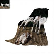 Familytaste Animal Throw Blanket Cute Adorable Baby Sibling Goats Playing Eachother on a Solid Rock in a Farm Warm Microfiber All Season Blanket for Bed or Couch 50x 30 White and Brown
