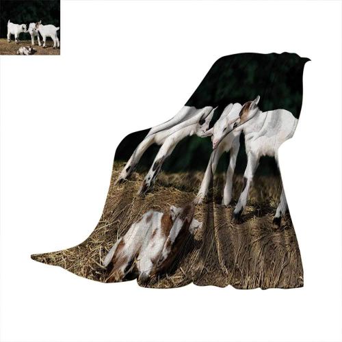  Familytaste Animal Throw Blanket Cute Adorable Baby Sibling Goats Playing Eachother on a Solid Rock in a Farm Warm Microfiber All Season Blanket for Bed or Couch 50x 30 White and Brown