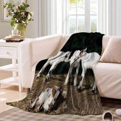  Familytaste Animal Throw Blanket Cute Adorable Baby Sibling Goats Playing Eachother on a Solid Rock in a Farm Warm Microfiber All Season Blanket for Bed or Couch 50x 30 White and Brown