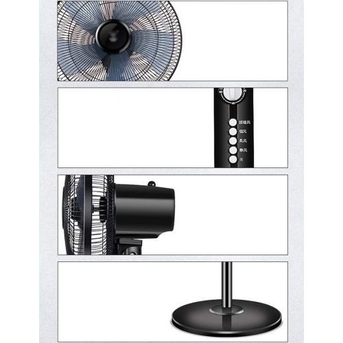  Fan FAN LYFS Standing Pedestal Oscillating Rotating Adjustable Telescopic Stand 4 Speed Setting Low Noise Energy Efficient Ideal for Home Or Office Black