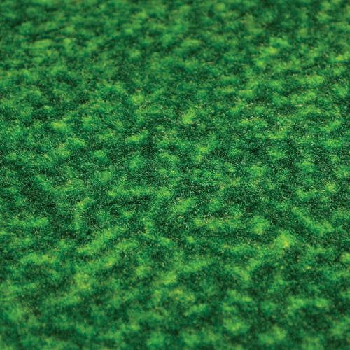  FanMats Indiana University Putting Green Mat