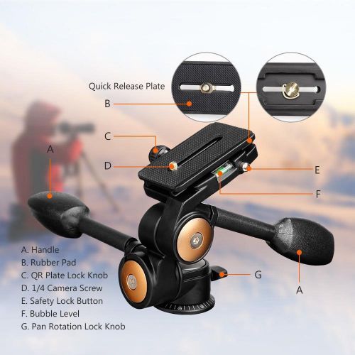  Fanala Q80 DSLR Tripod Head Double Handle Three-Dimensional 3D Ball Head with Quick Release Plate