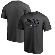 Arizona Diamondbacks Fanatics Branded Snakeskin Hometown T-Shirt  Heathered Gray