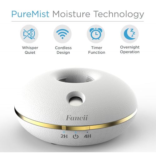  Fancii Cool Mist Personal Humidifier - Portable Mini Travel Tabletop Humidifier - USB & Battery Operated, Water Bottle