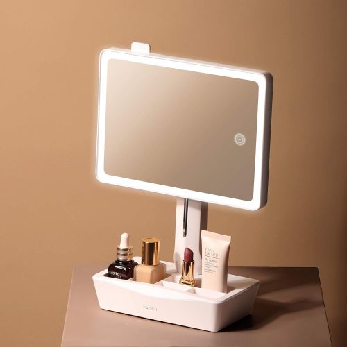  Fancii LED Lighted Large Vanity Makeup Mirror with 10X Magnifying Mirror - Dimmable Natural Light, Touch Screen, Dual Power, Adjustable Stand with Cosmetic Organizer - Gala