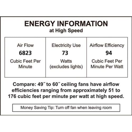  Fanimation C1MW Matte White Distinction AC Fan, Motor Only