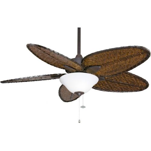  Fanimation Windpointe - 22 inch - Antique Brass with Natural Palm Narrow Oval Blades with Pull-Chain - FP7500AB