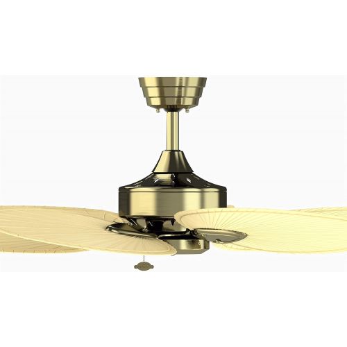  Fanimation Windpointe - 22 inch - Antique Brass with Natural Palm Narrow Oval Blades with Pull-Chain - FP7500AB